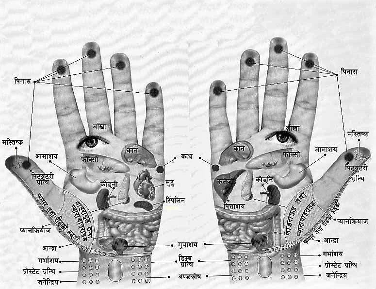 Акупрессура. Акупрессура Рефлексология. Рефлексология точка на ладони. Рефлексология в психологии. Рефлексология Сеченова.