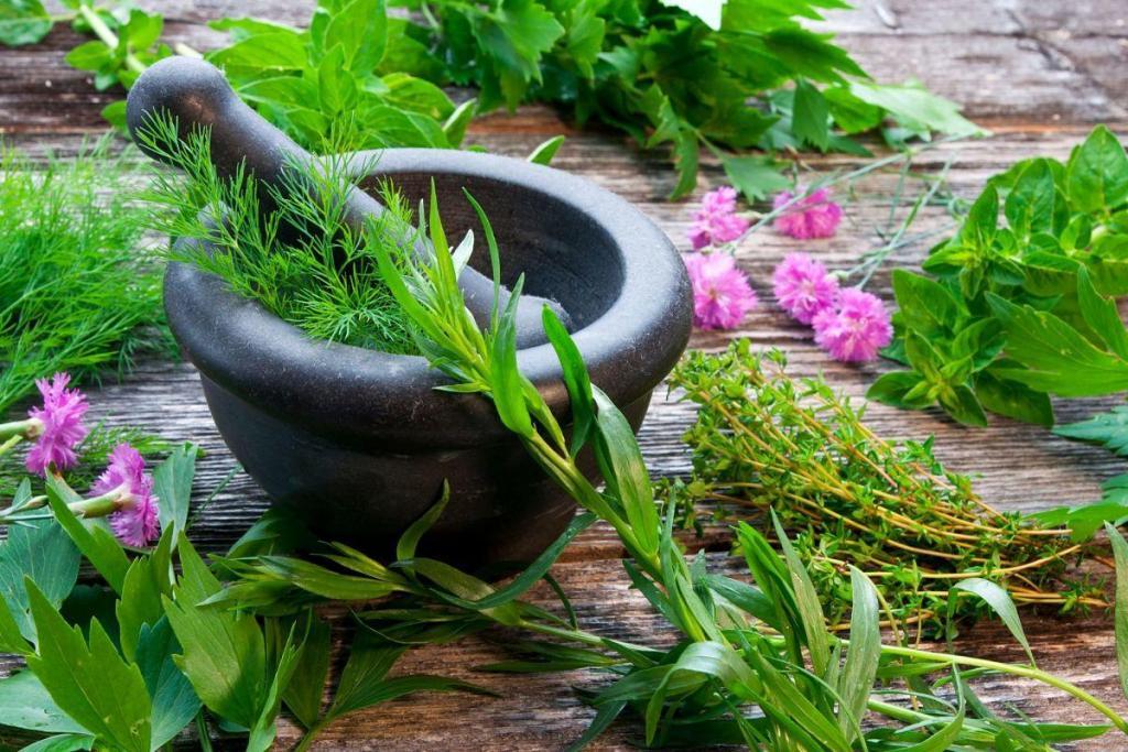 ayurveda-and-detox-course