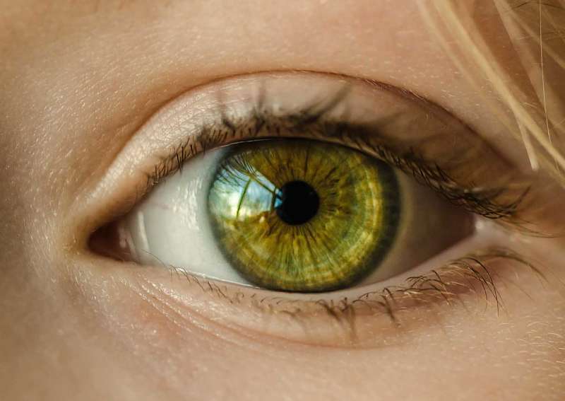 Jóga myopia gyakorlatok és masszázs a szemnek