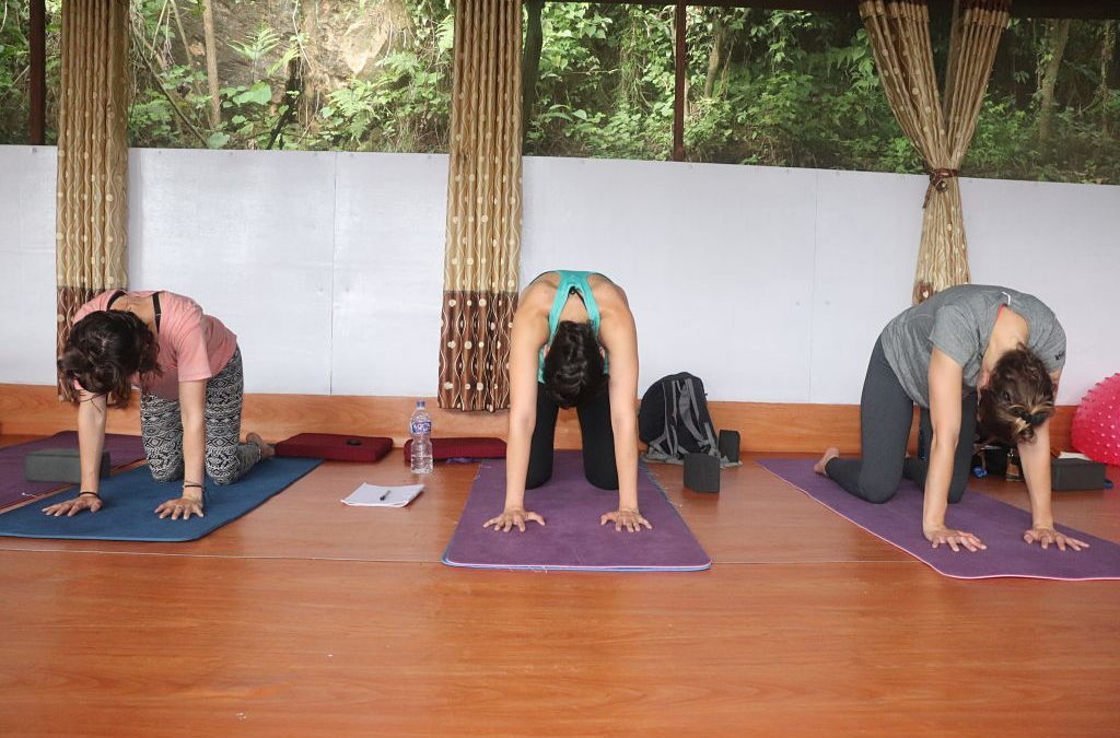 Relation between Yoga and Ayurveda