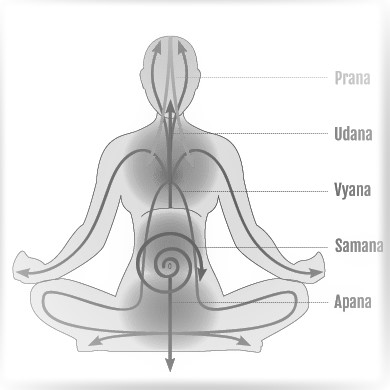 Pancha Prana in Human Body, Impact