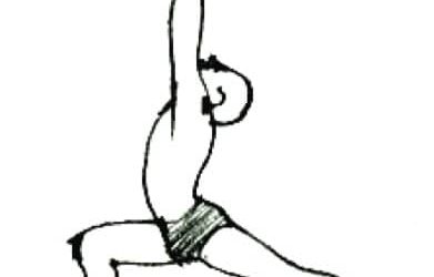 alignments, adaptations & contraindication in yoga