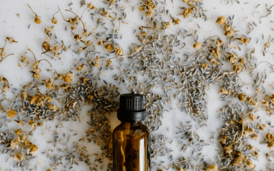7 Best Essential Oils For Yoga In 2022