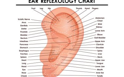 ear reflexology | how to do and benefits of pressing ear reflex points